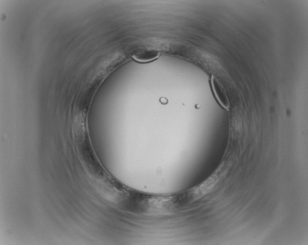 X0000060800172200511241919