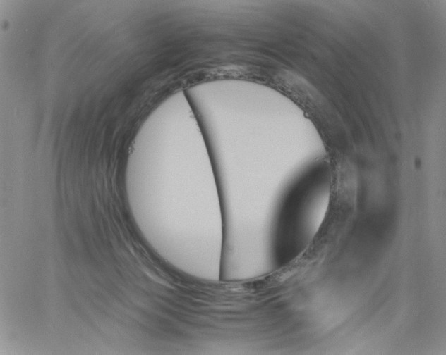 X0000060800173200511241919