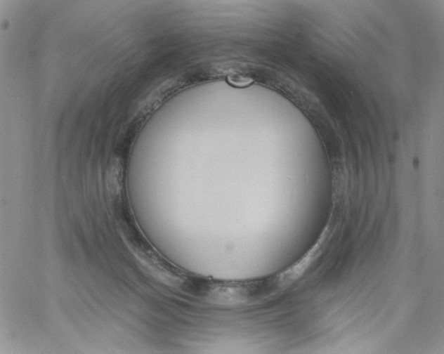 X0000060800174200511241919