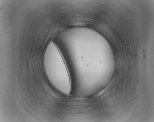 X0000060800175200511241919