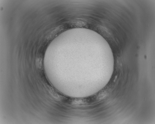 X0000060800177200511241919