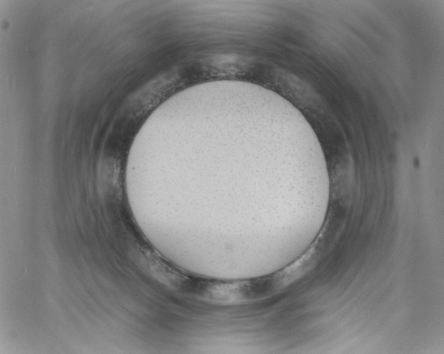 X0000060800178200511241919