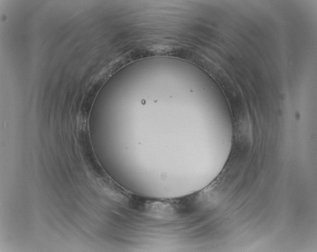 X0000060800180200511241919