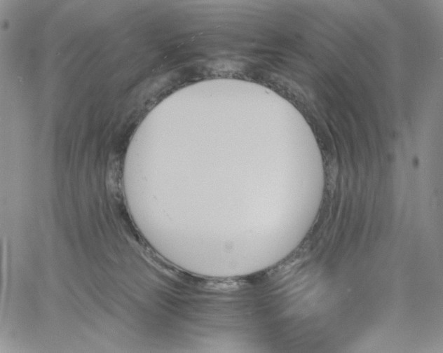 X0000060800181200511241919