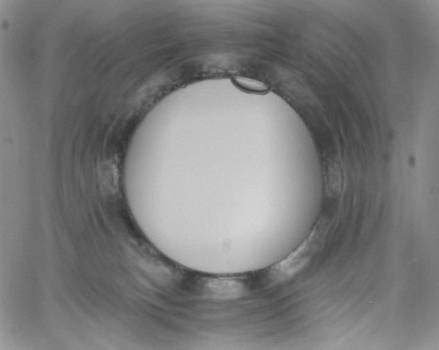 X0000060800183200511241919