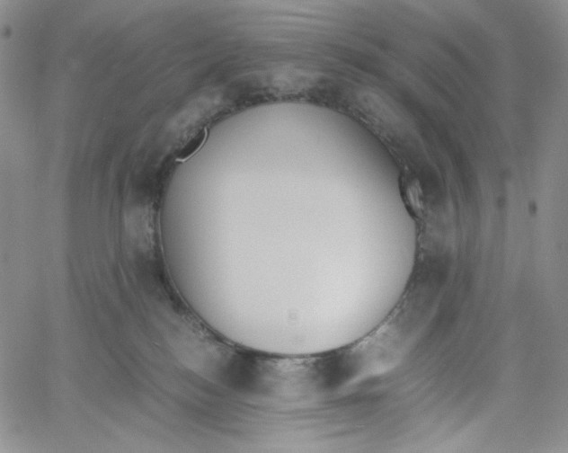 X0000060800184200511241919