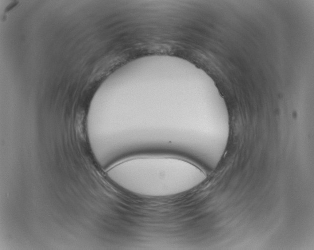 X0000060800185200511241919