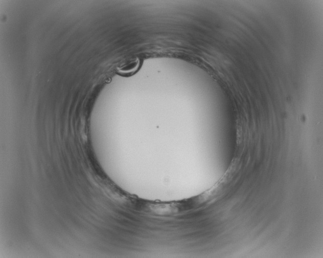 X0000060800187200511241920