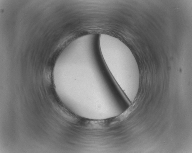 X0000060800188200511241920