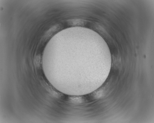 X0000060800189200511241920