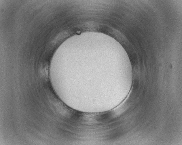 X0000060800190200511241920