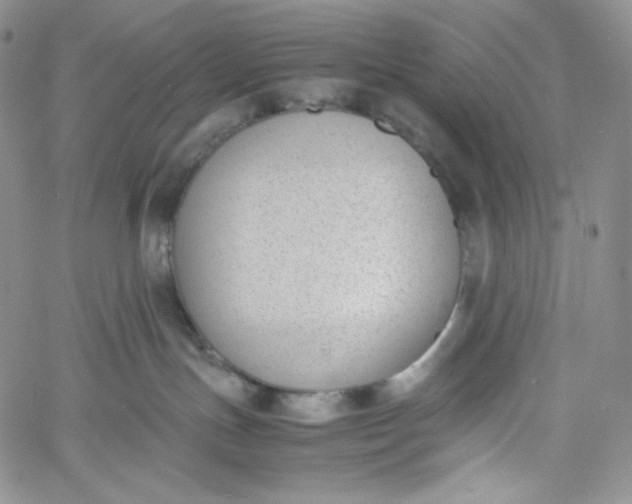 X0000060800191200511241920