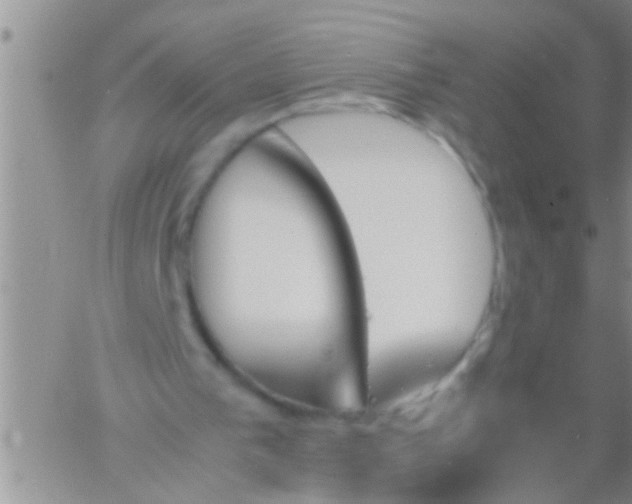 X0000060800193200511241919