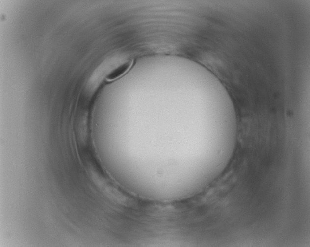 X0000060800194200511241919