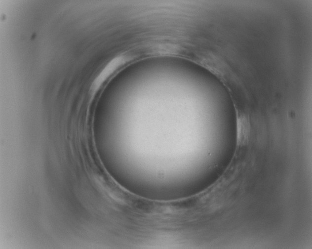 X0000060800195200511241919