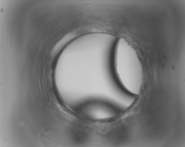 X0000060800197200511241919