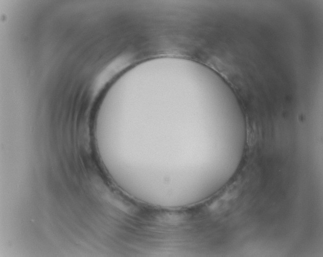 X0000060800198200511241919