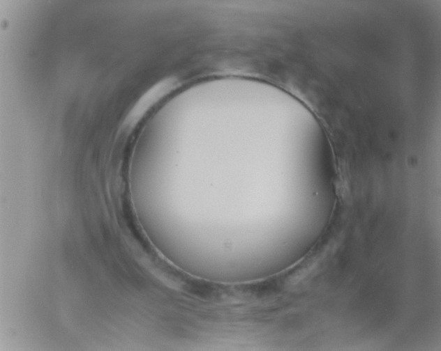 X0000060800199200511241919