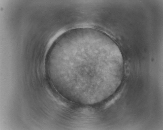 X0000060800200200511241919