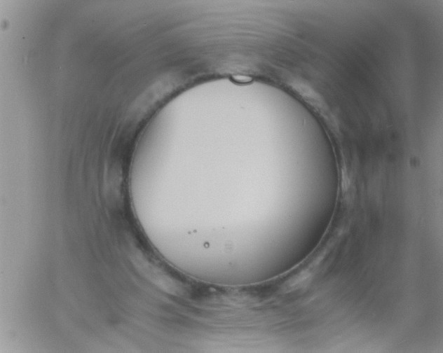 X0000060800201200511241919