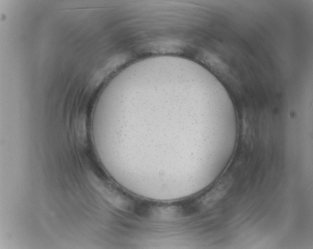 X0000060800202200511241919