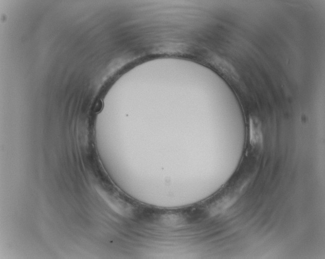 X0000060800204200511241919