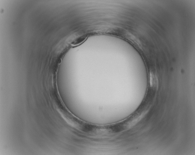 X0000060800205200511241919