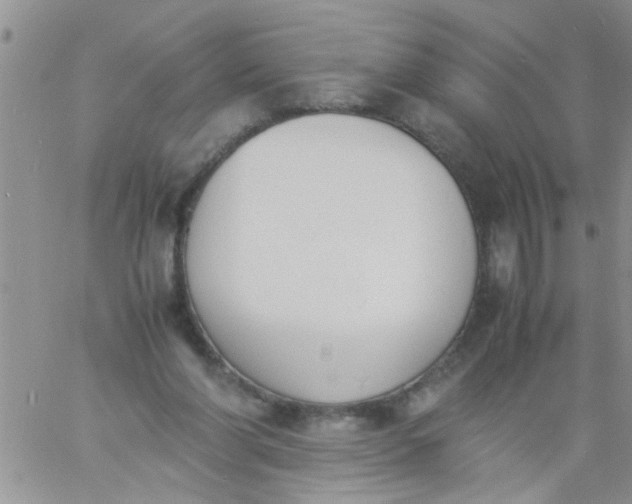 X0000060800206200511241918