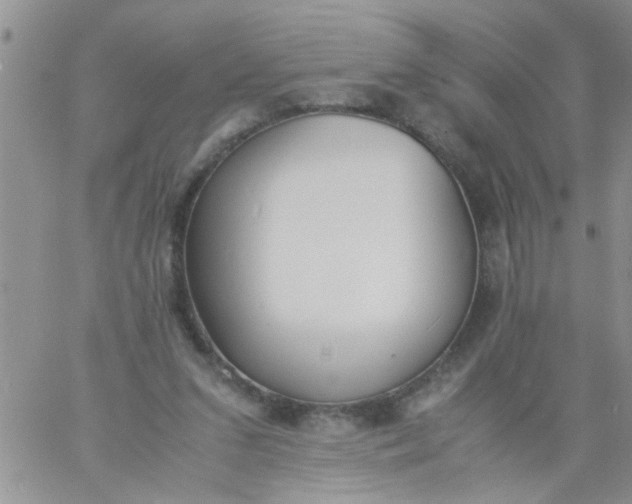 X0000060800207200511241918