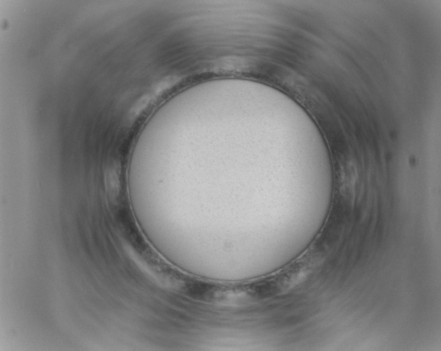 X0000060800208200511241918