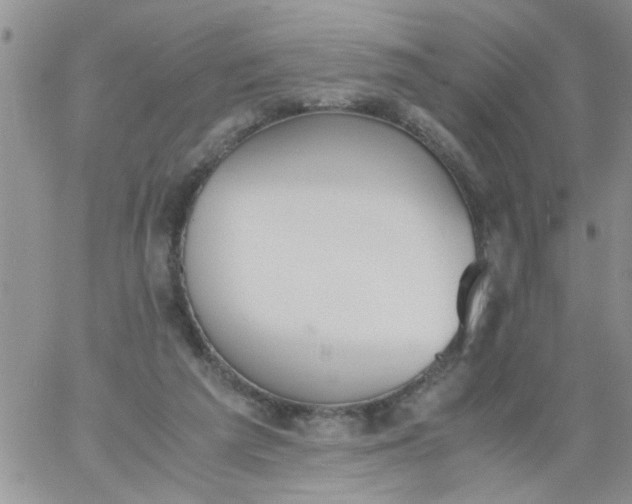 X0000060800209200511241918