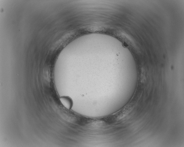 X0000060800210200511241918