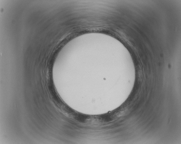 X0000060800211200511241918