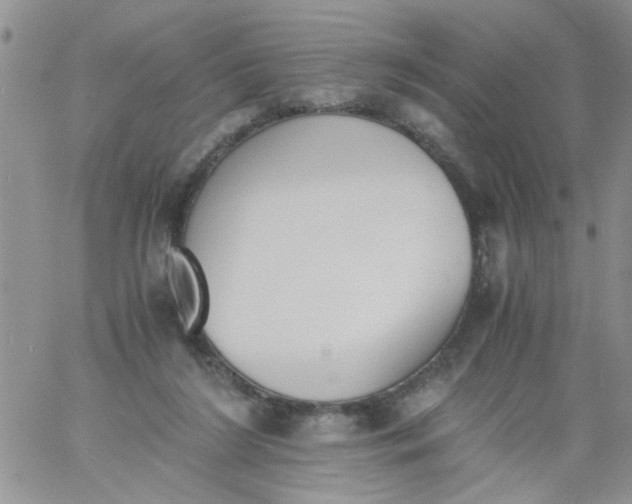 X0000060800212200511241918