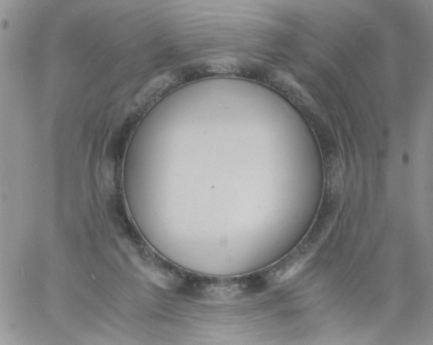 X0000060800213200511241918