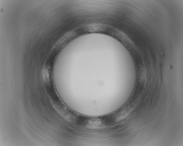 X0000060800214200511241918