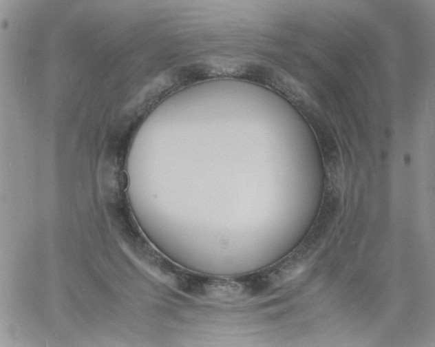 X0000060800215200511241918