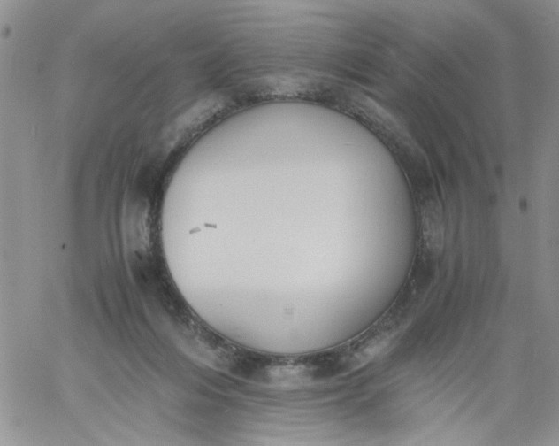 X0000060800216200511241918