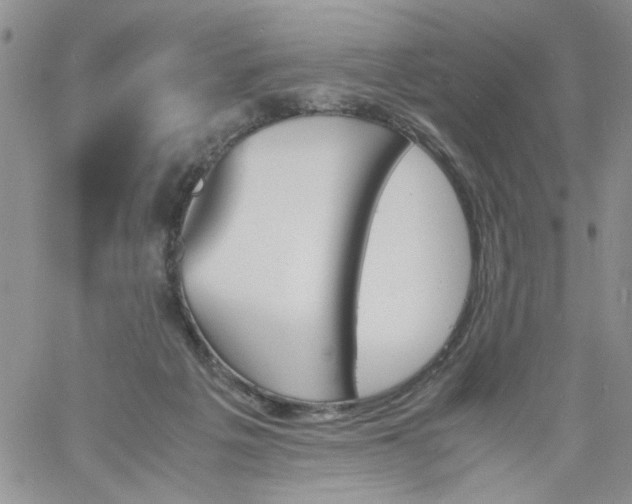 X0000060800217200511241918