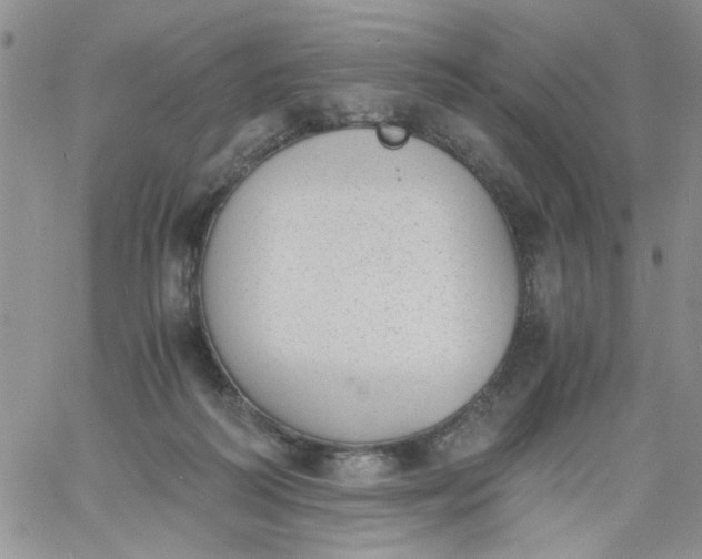 X0000060800218200511241918