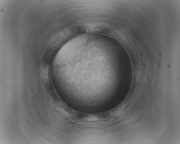 X0000060800219200511241918