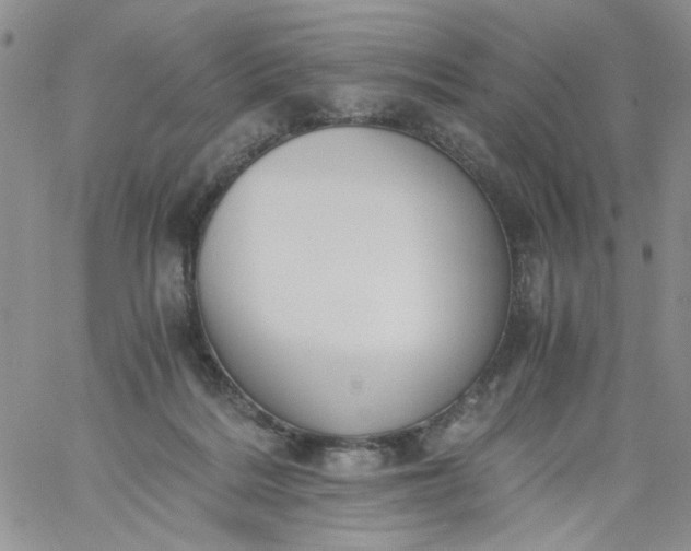 X0000060800220200511241918