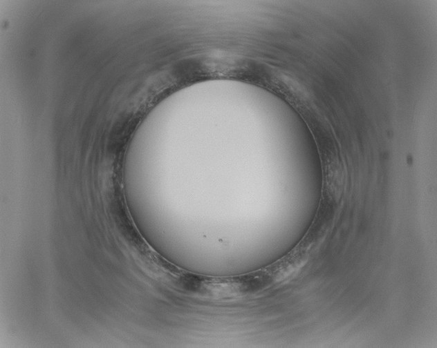 X0000060800221200511241918