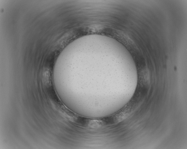 X0000060800222200511241918