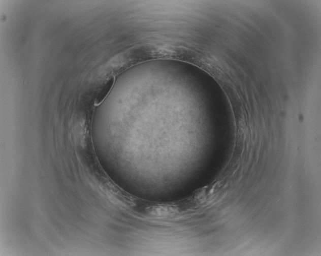 X0000060800223200511241918