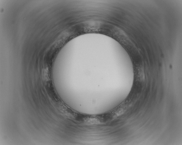 X0000060800224200511241918