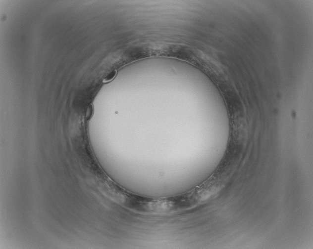 X0000060800225200511241918