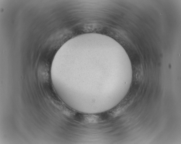 X0000060800226200511241918