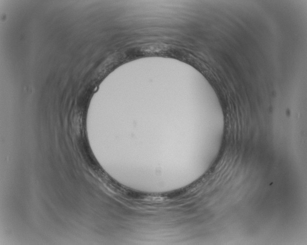 X0000060800227200511241918