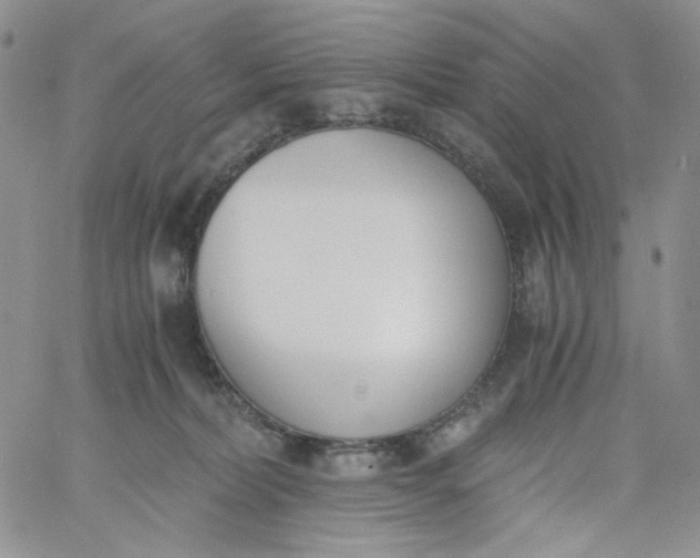 X0000060800228200511241918